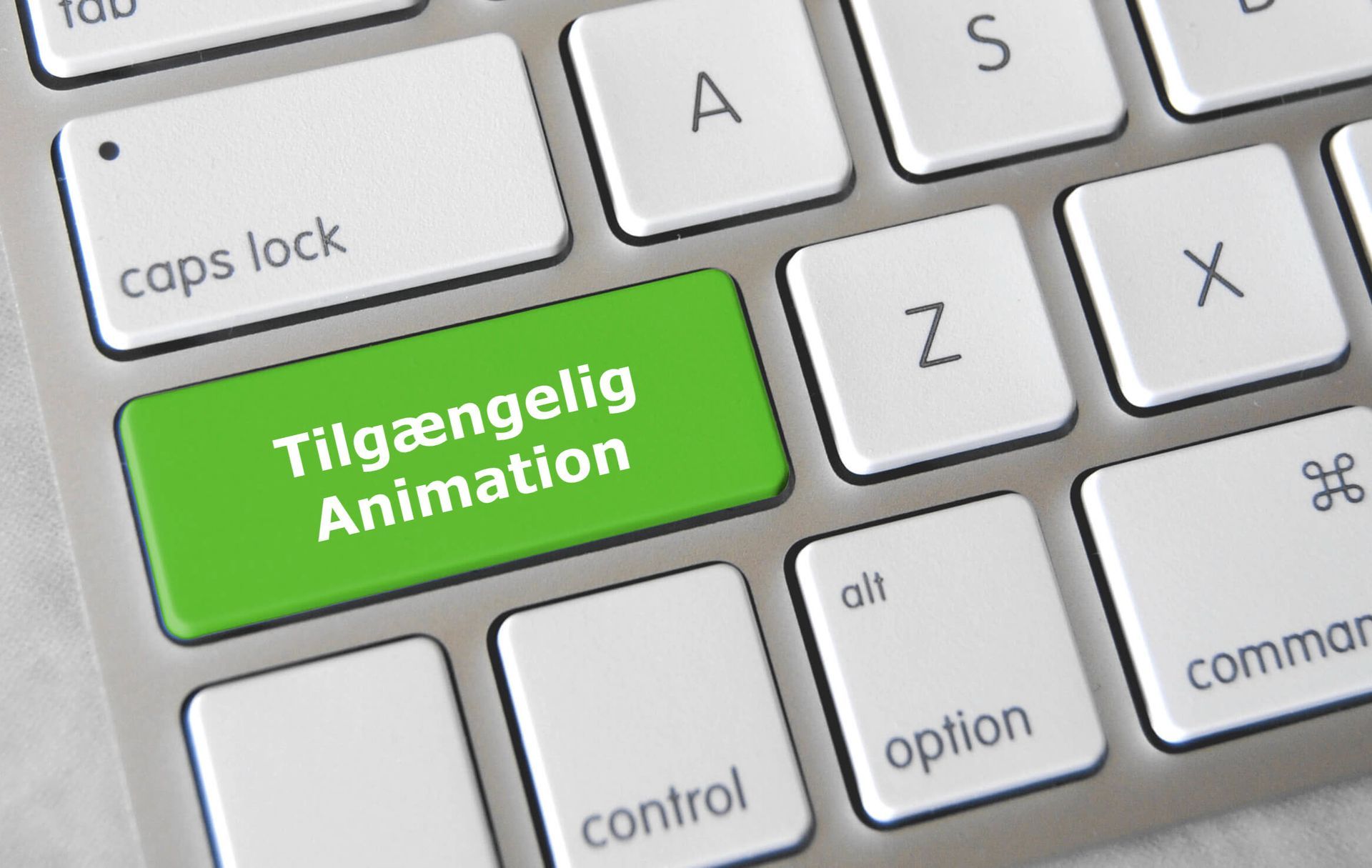 Webtilgængelighed med fokus på Animation